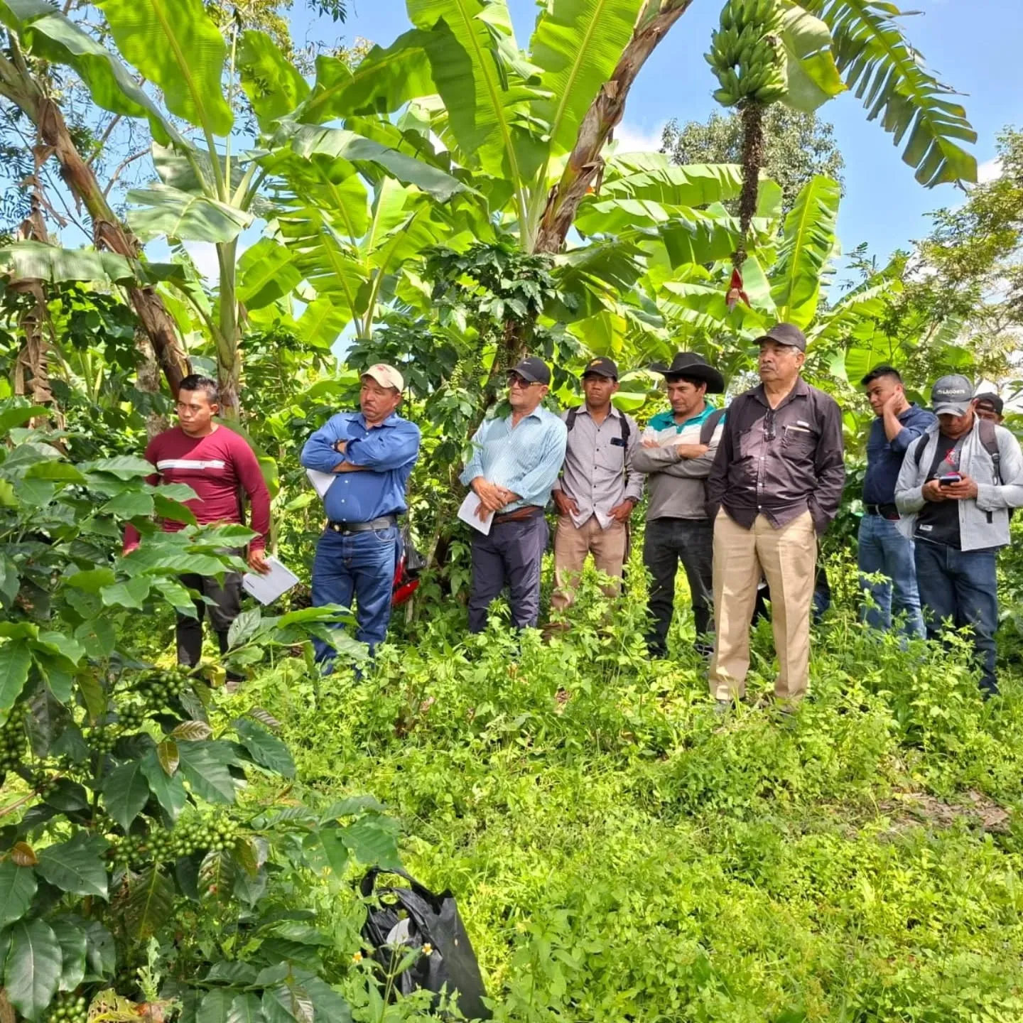 Capacitación constante a los productores